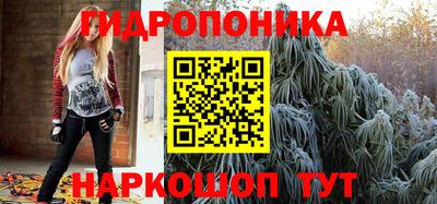 трава Новозыбков